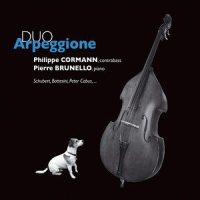 Sonata for Arpeggione and Piano in A Minor, D. 821: II. Adagio_Philippe Cormann,Pierre Brunello