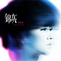锦灰_谭维维