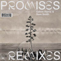 Promises_Calvin Harris,Sam Smith