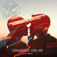 Somebody Like Me_State of Sound,ORKID