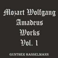 Divertimento in F Major, KV 138: I. Allegro_Gunther Hasselmann