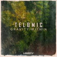 Gravity Within_Telomic,Beloved In Love,Laura Brehm