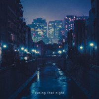 During That Night_Idealism