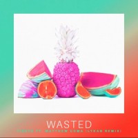 Wasted_LyKAN,Tiësto,Matthew Koma