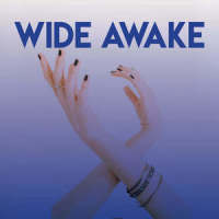 Wide Awake_Sassydee