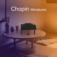 6. In B-Flat Minor_Rafal Blechacz