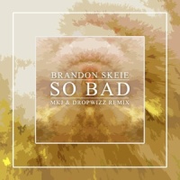 So Bad_MKJ,Brandon Skeie,Dropwizz