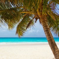 Transformation_Relaxing Spa Music,Sounds of Nature White Noise Sound Effects,Deep Sleep