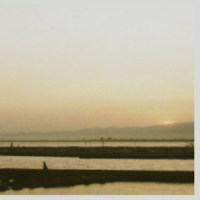 Calm_Various Artists,中村遥