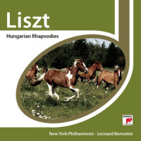 21 Hungarian Dances, WoO 1: No. 5, Allegro in F-Sharp Minor_Leonard Bernstein,Johannes Brahms,New York Philharmonic