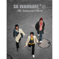 再见!爱_SG Wannabe
