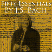 Brandenburg Concerto No.1 In F Major BWV1046: (Ohne Satzbezeichnung) (第一乐章)_Johann Sebastian Bach
