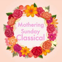 Menuetto: I_Quarter Orchestra,Luigi Boccherini