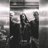 Crime_Grey,SKOTT