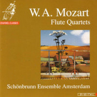 Quartet in G (arranged by Antoine Hugot) : Rondeau, allegretto (回旋曲 - 稍快板)_Schönbrunn Ensemble Amsterdam,Wolfgang Amadeus Mozart