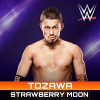 WWE: Strawberry Moon (Tozawa)_WWE,CFO$