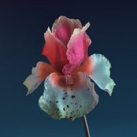 Say It_Flume,Tove Lo