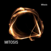 Sukubus_MitiS