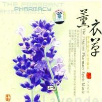 薰衣花香_辛晓琪