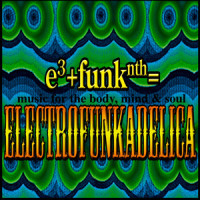The Third Eye_Electrofunkadelica,Paul Hill,Mike 'Clip' Payne,SHAUN