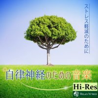 華やかな月見草_RELAX WORLD