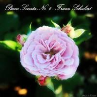 Piano Sonata No. 4 in A Minor, D. 537: I. Allegro ma non troppo_Classic is Fantastic,Paul Pitman