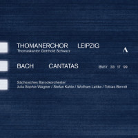 Was Gott tut, das ist wohlgetan, BWV 99: I. Was Gott tut, das ist wohlgetan_Thomanerchor Leipzig,Saxon Baroque Orchestra,Gotthold Schwarz