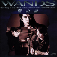 孤独へのTARGET_WANDS