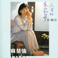 其实你懂_苏慧伦