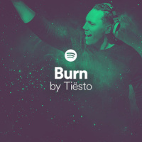 Burn: Chapter 2_Tiësto