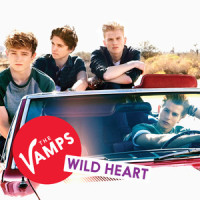 Wild Heart(Live At Brighton, United Kingdom/2013)_The Vamps