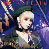 REBEL FLAG_GARNiDELiA