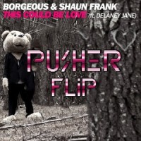 This Could Be Love(Pusher Flip)_Borgeous,Shaun Frank,Pusher