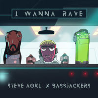 I Wanna Rave_Steve Aoki,Bassjackers