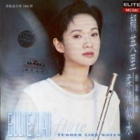 柔情似水_赖英里