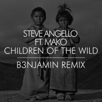Children Of The Wild_B3NJAMIN,Steve Angello,Mako