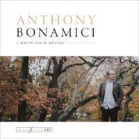 Keyboard Sonata No. 8 in A Minor, Op. 4 No. 3, K. 310: III. Presto_Anthony Bonamici