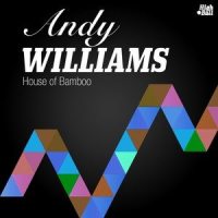 Do You Mind?_Andy Williams