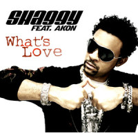 What's Love_Akon,Shaggy