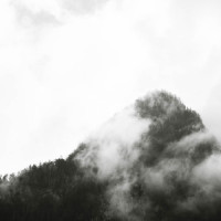 Walk Through Woods_Breathe,Sounds of Nature White Noise for Mindfulness Meditation and Relaxation,Spa