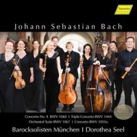 Concerto for Flute, Violin & Harpsichord in A Minor, BWV 1044: II. Adagio ma non tanto e dolce_Dorothea Seel
