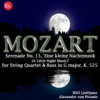IV. Rondo - Allegro (第四乐章 回旋曲 - 快板)_RSO Ljubljana,Alexander Von Pitamic