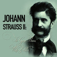 Schatz-Walzer (Treasure Waltz), Op. 418_Munich Symphony Orchestra,Carl Davis,Johann Strauss Jr.