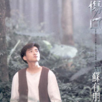 我的朋友_苏有朋