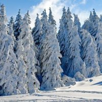 Holly Jolly Christmas Time_Sleepy Times,Spiritual Fitness Music,Xmas Time