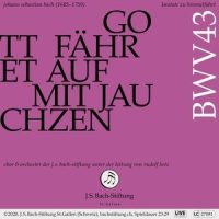 IX. Arie (Alt) - Ich sehe schon im Geist_Johann Sebastian Bach,Annekathrin Laabs,Rudolf Lutz