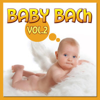 Suite Orquestal nº 2 Para Flauta Y Cuerda.Polonesa.Bourrees I/II_Johann Sebastian Bach