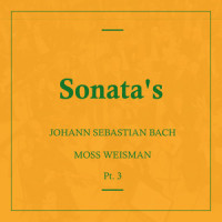 Sonata No.3 in E Major, BWV. 1016: IV. Allegro_l'Orchestra Filarmonica di Moss Weisman