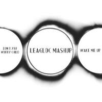 Don't Wake Me Up Child(LeagloC Mashup)_LeagloC,Swedish House Mafia,Avicii