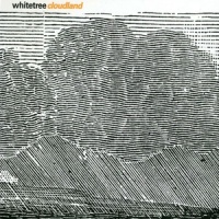 Ulysses & the Cats_Whitetree,Ludovico Einaudi,Robert Lippok,Ronald Lippok